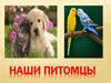 Наши питомцы