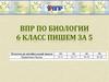 ВПР по биологии 6 класс