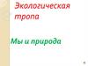Экологическая тропа. Мы и природа