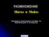 Митоз и мейоз
