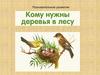 Познавательное развитие. Кому нужны деревья в лесу