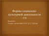 Формы социально-культурной деятельности