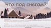 Что под снегом?