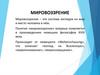 Мировоззрение. Центральный вопрос мировоззрения
