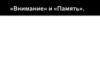 «Внимание» и «Память»