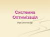 Системна оптимізація