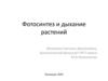 Фотосинтез и дыхание растений