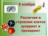 Различия в строении клеток эукариот и прокариот