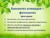 Биосинтез углеводов – фотосинтез