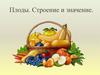 Плоды. Строение и значение