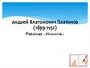 Андрей Платонович Платонов. Рассказ «Никита»