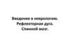 Введение в неврологию. Рефлекторная дуга. Спинной мозг