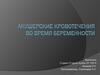 Классификация акушерских кровотечений во время беременности