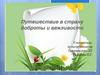 Путешествие в страну вежливости и доброты