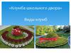 «Клумба школьного двора». Виды клумб