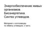Энергообеспечение живых организмов. Биоэнергетика. Синтез углеводов