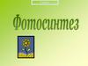 Фотосинтез . 6 класс