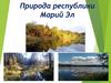 Природа республики Марий Эл