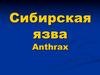 Сибирская язва Anthrax