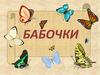 Насекомые бабочки