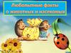 Любопытные факты о животных и насекомых