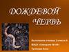 Дождевые черви