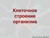 Клеточное строение организма