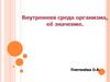 Внутренняя среда организма, ее значение