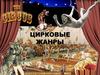 Цирковые жанры