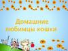 Домашние любимцы - кошки