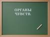 Органы чувств