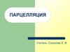 Парцелляция