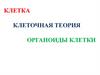 Клетка. Клеточная теория. Органоиды клетки