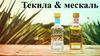 Текила & мескаль
