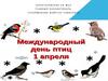 День птиц