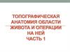 Топографическая анатомия области живота и операции на ней. Часть 1