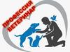 Профессия ветеринар