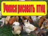 Рисуем птиц