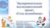 Экспериментально исследовательский проект «Соль волшебница»