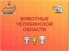 Животные Челябинской области