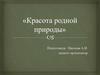 Красота родной природы