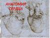 Анатомия сердца