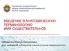 Введение в анатомическую терминологию. Имя существительное