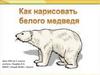 Как нарисовать белого медведя