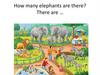 How many elephants are there?