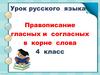 Правописание гласных и согласных в корне слова