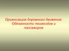 Организация дорожного движения. Обязанности пешеходов и пассажиров. 8 класс
