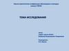 Тема исследования (пример презентации доклада)