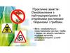 Ознайомлення з найпоширенішими й отруйними рослинами, тваринами і грибами