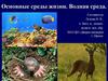 Водная среда. Наземно-воздушная среда. Почва как среда жизни. Живые организмы как среда жизни